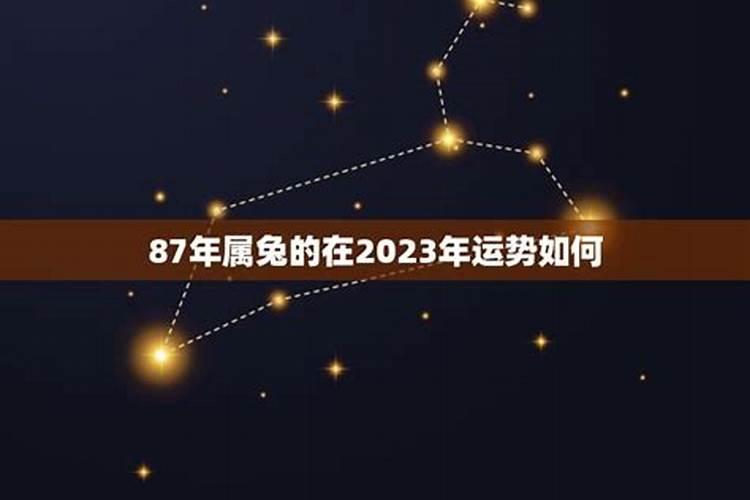 87年属兔在2023年运势如何