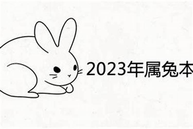 87年兔子的2023年运势怎么样呀