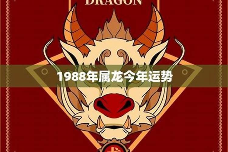 1988年属龙今年的运气如何