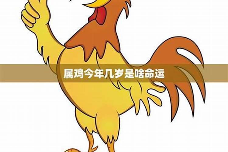 属鸡今年29岁是什么命