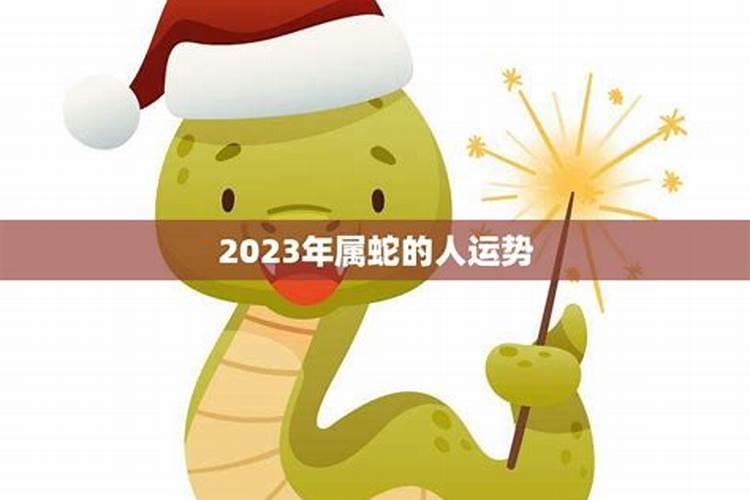 属蛇的2022年财运各方面怎么样