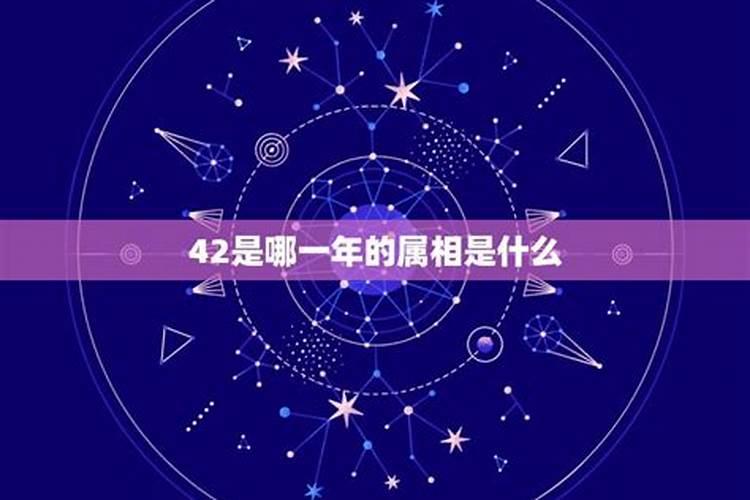 今年42岁属什么的哪年出生的