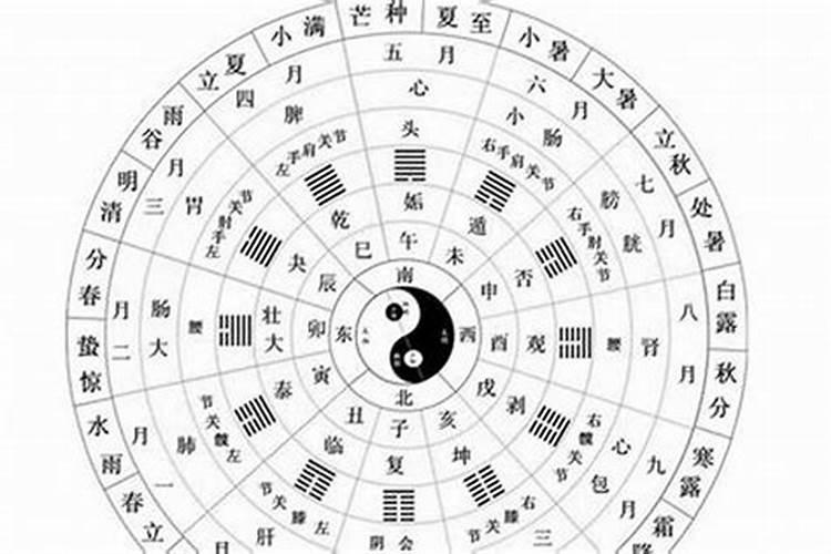 狗字在五行中属什么意思