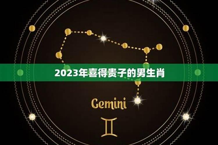 2020年喜得贵子的生肖