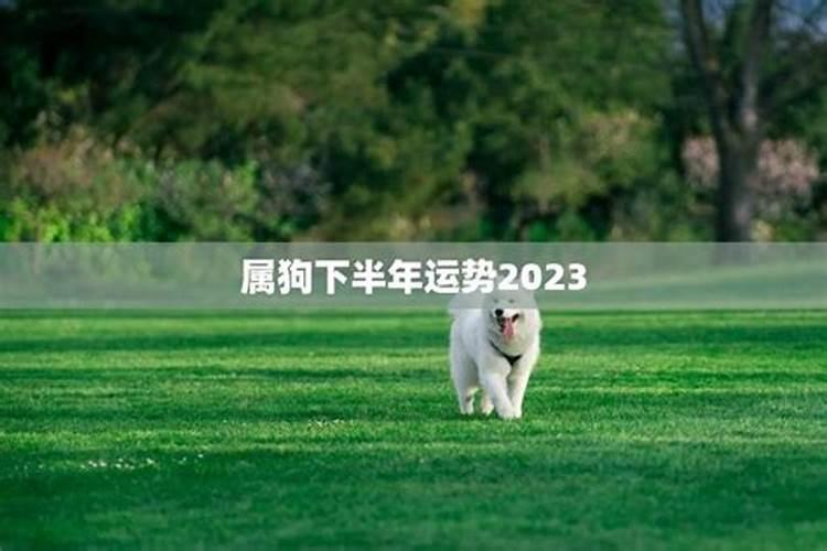 2023年鸡犯太岁可带什么