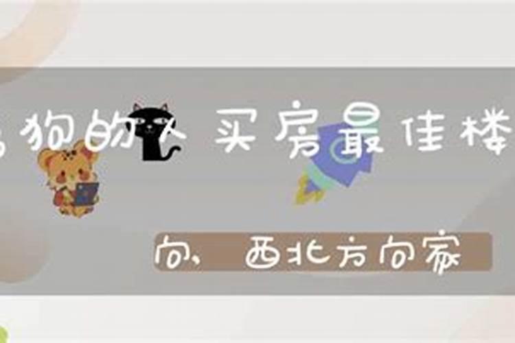 70年属狗买房最佳楼层总层27