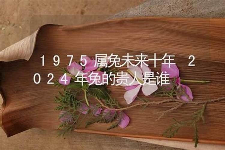 1975属兔的贵人是什么属相