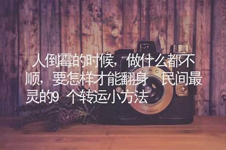 屈指可数的动物是什么生肖呢