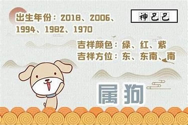 属狗的今年财运怎么样2021年