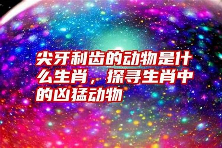 尖牙利歯生肖是什么生肖