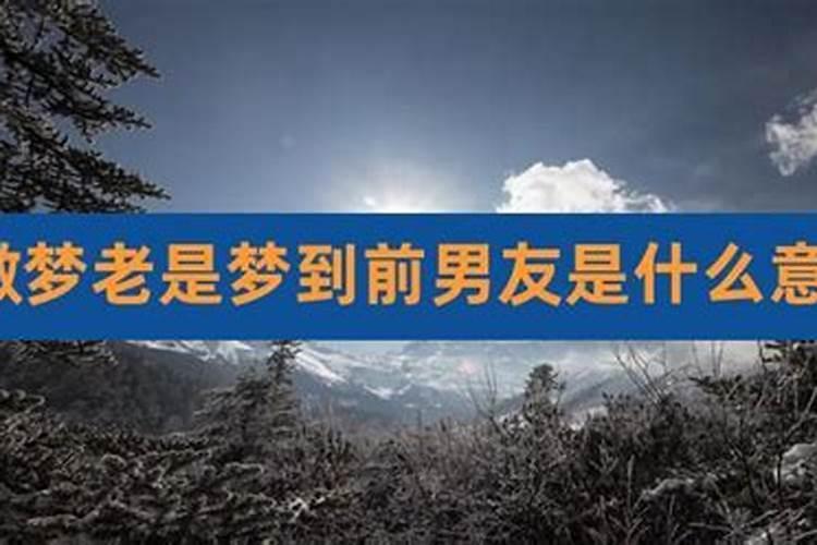 1991年属羊人一生运势及运程如何