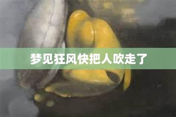 梦见一股狂风吹来