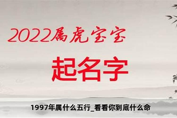 1997年属相五行属什么