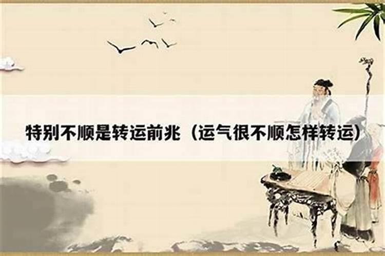 生辰八字中什么是十神呢