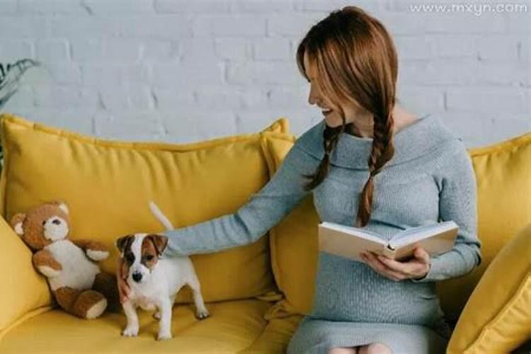 孕妇梦见狗咬自己是什么意思啊
