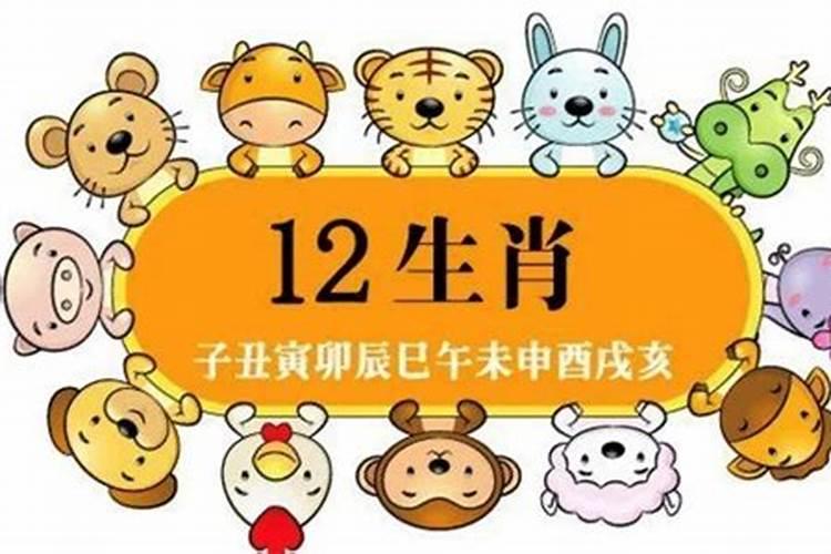 19年12生肖的运势