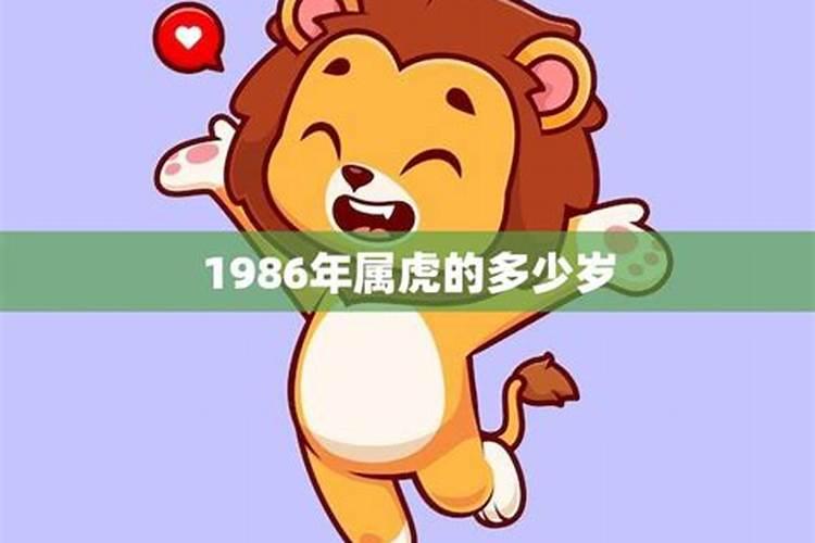 1986年属虎是多大年龄