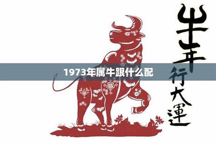 1973年属牛是什么年