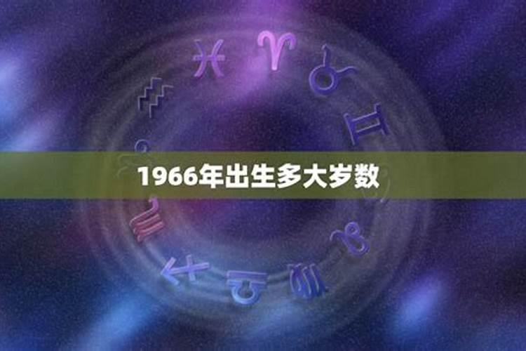 1966年属马的多大年龄