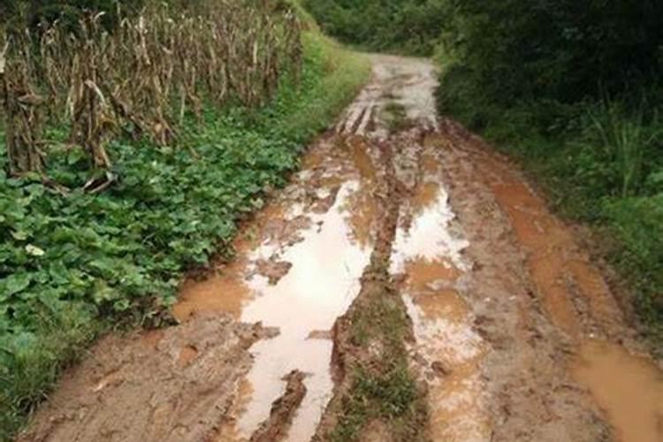 女人梦见自己冒雨前行