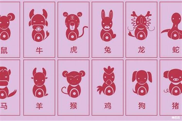 怎么看八字的用神和喜神