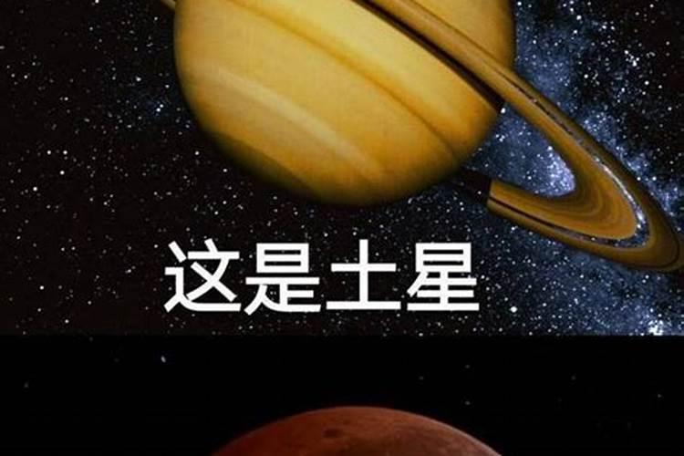 你什么星座土味情话