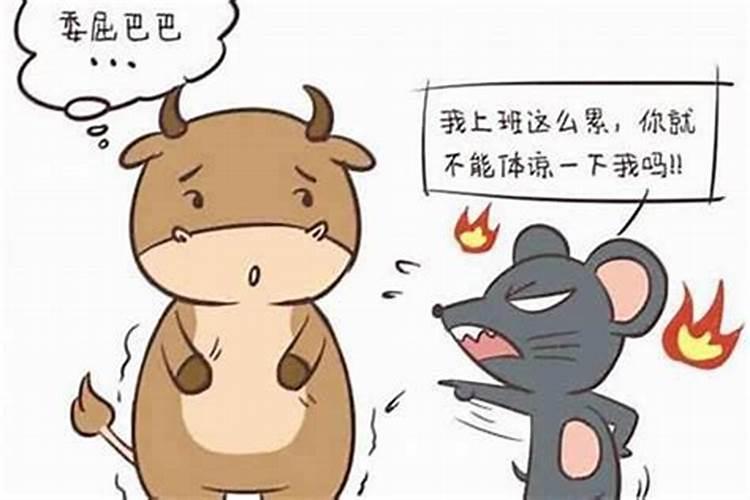 生肖猴的女人旺夫吗