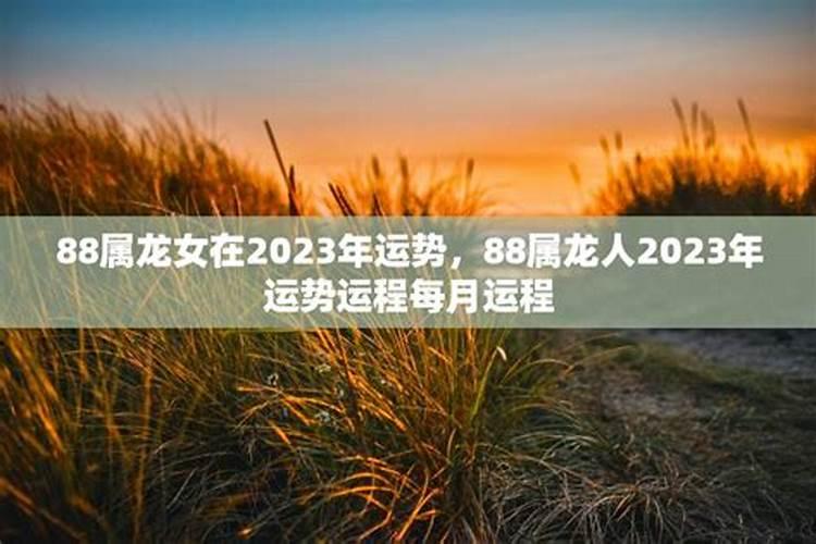 2023年属兔犯太岁怎么破解呀