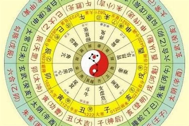 今年属马幸运数字