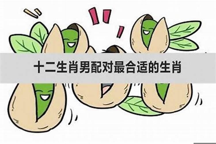 找对象是什么生肖男