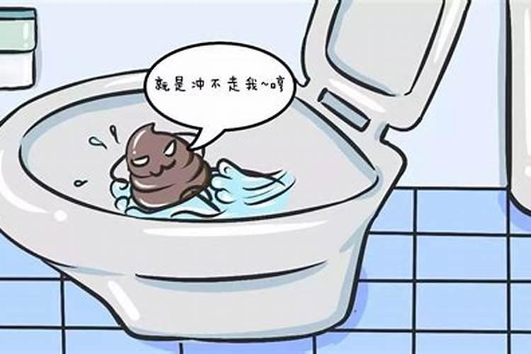 水瓶水瓶座是什么公主