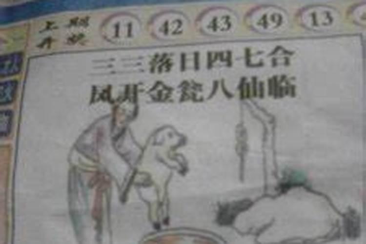 看字解一生肖