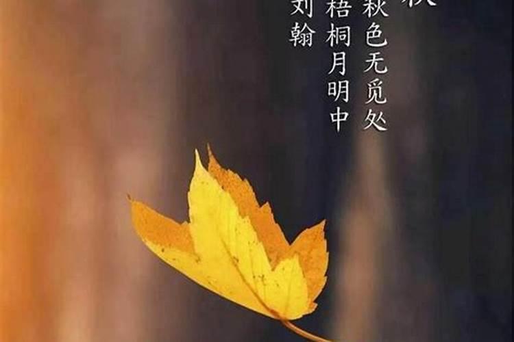 清明节是传统节日为什么是公历