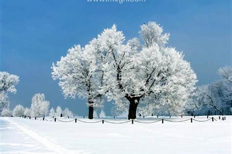 梦见雪景是什么征兆女性解梦