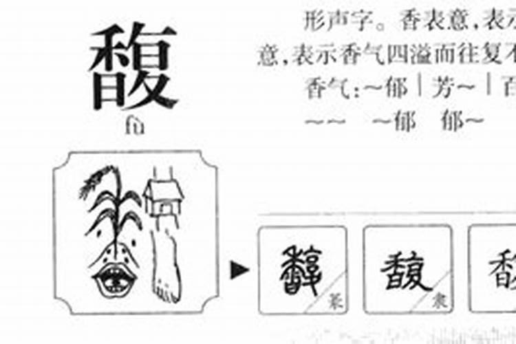 馥字的五行属什么