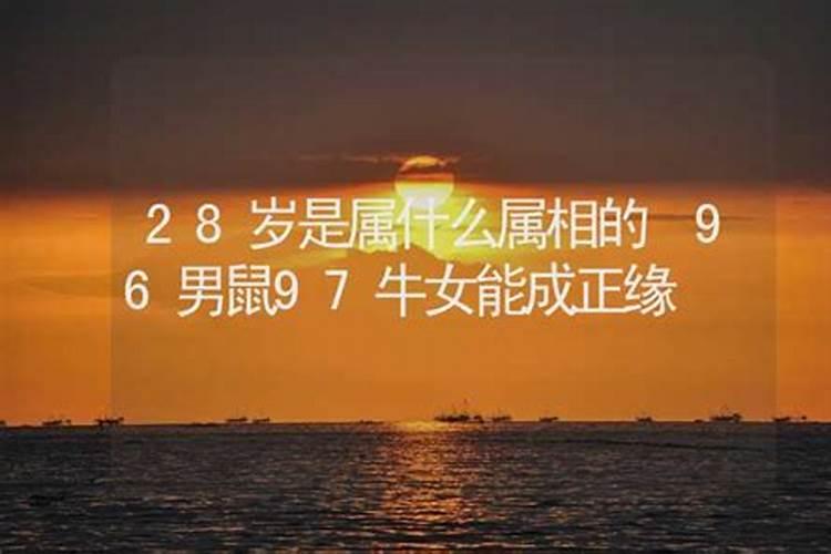 明年28岁属什么生肖