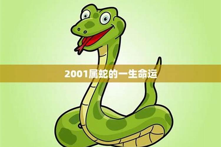 属蛇的今年多大2001什么命