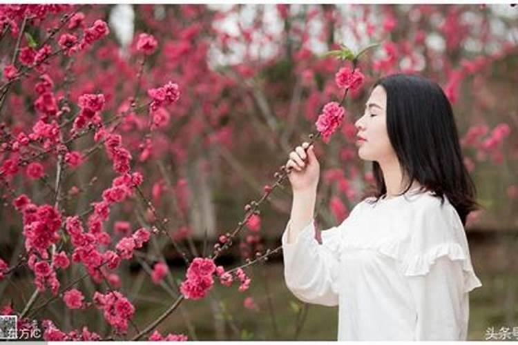 八字带墙外桃花的女的