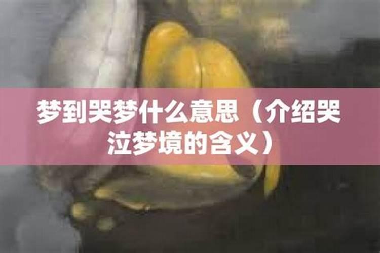 梦到在哭泣什么意思周公解梦