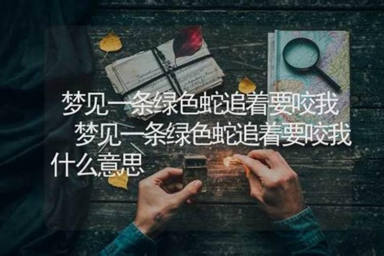 中午梦见一条大蛇想要咬我