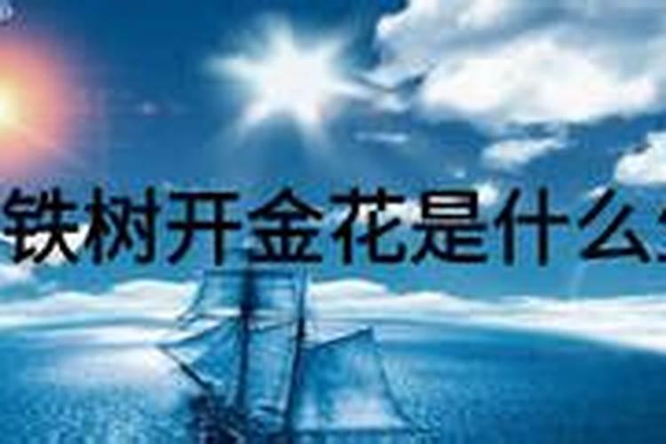 铁树本期开金花是什么生肖数字