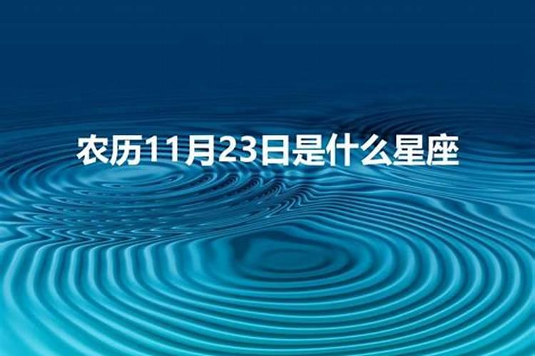 农历11月11日出生的是什么星座