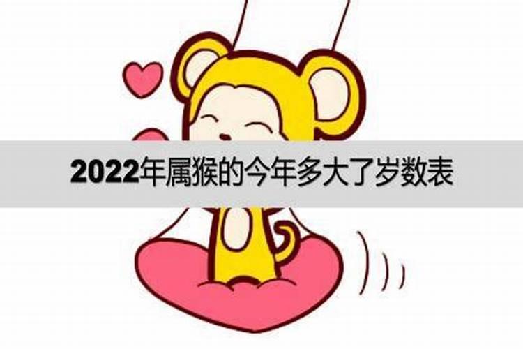 属猴子的2022年今年多大