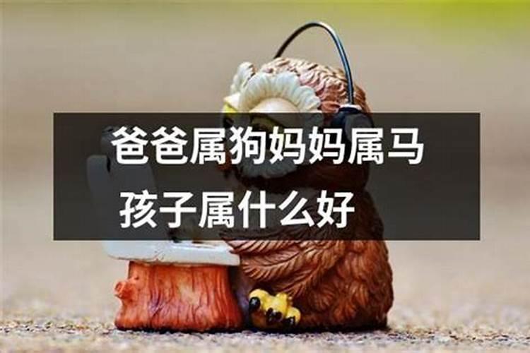 爸爸属马妈妈属狗生什么属相宝宝不好