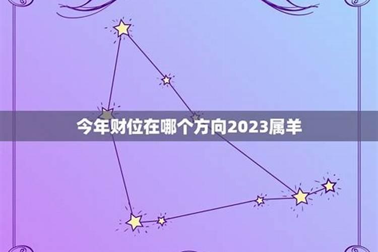 属羊今年财运方位