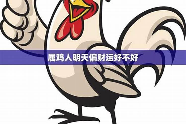 属鸡人今天运气财气运势如何