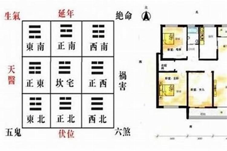 属羊人风水