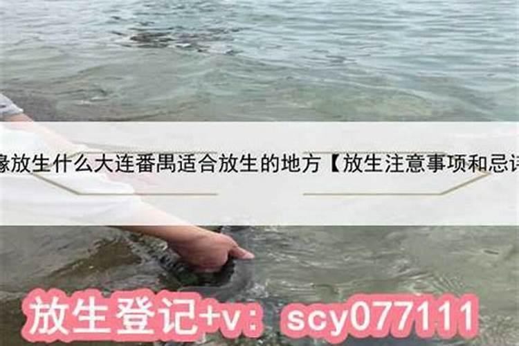 属鸡的人要注意什么事项和忌讳