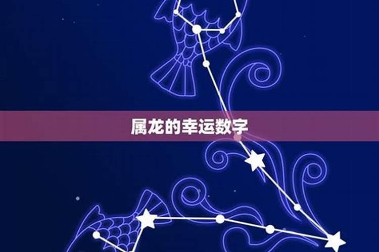 2023年属龙的幸运数字