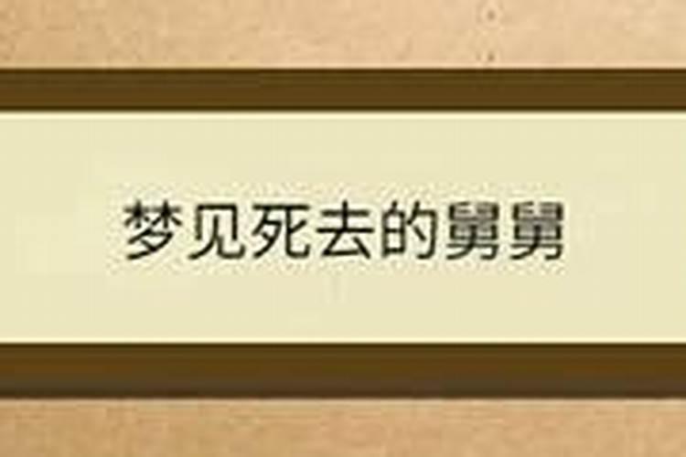 梦见死去的舅舅和他说话什么意思